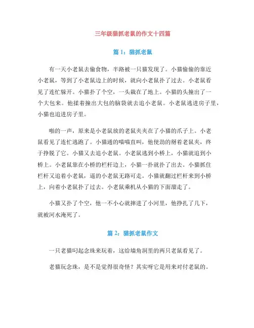 三年级猫抓老鼠的作文十四篇