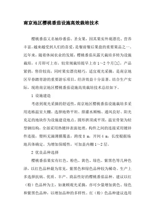 南京地区樱桃番茄设施高效栽培技术-2019年文档