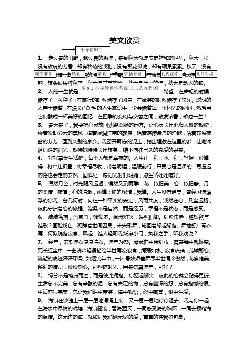 图9-5 小导管预注浆施工工艺流程图.doc
