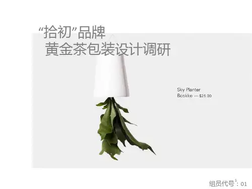 品牌包装设计调研PPT课件