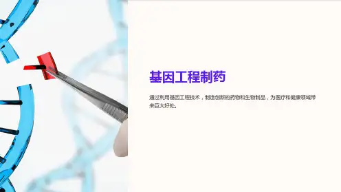 《基因工程制药》课件 (2)