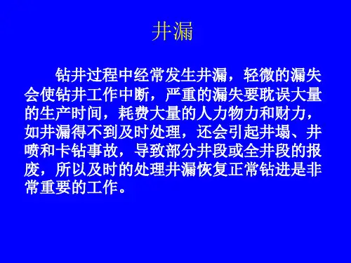 井漏处理措施及案例分析