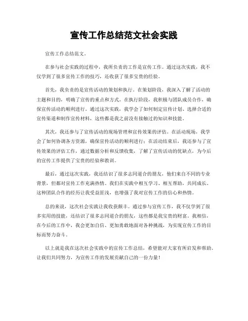 宣传工作总结范文社会实践