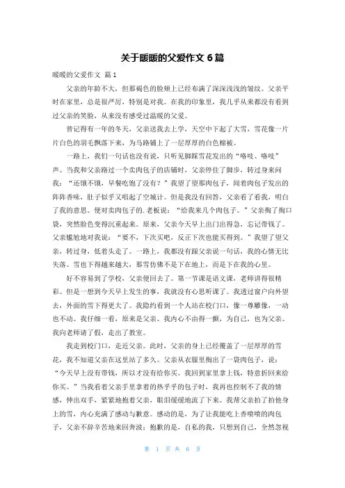 关于暖暖的父爱作文6篇