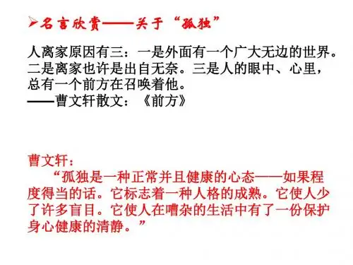 10《孤独之旅》教学设计课件