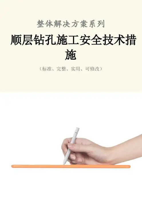 顺层钻孔施工安全技术措施方案