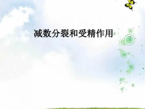 人教版高中生物必修二优秀课件：第二章第1节《减数分裂和受精作用》(共65张PPT)