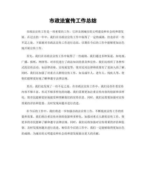 市政法宣传工作总结