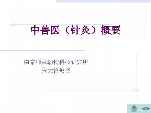 兽医针灸
