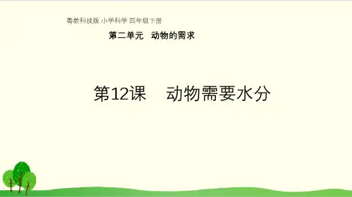 粤教版《动物需要水分》实用课件1