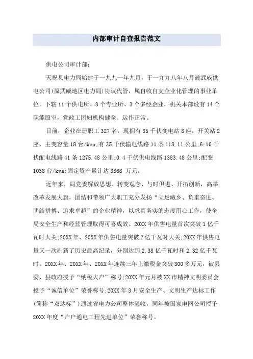 内部审计自查报告范文