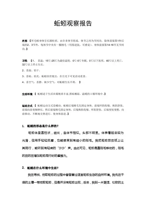 蚯蚓观察报告
