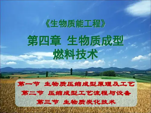 生物质成型以及炭化技术讲义