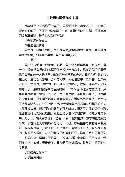 小升初的满分作文5篇