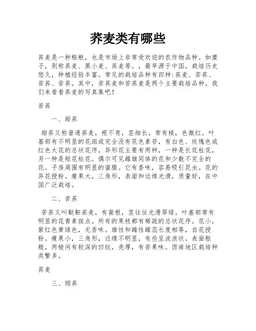 荞麦类有哪些