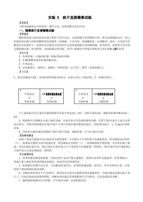 玻片直接凝集试验