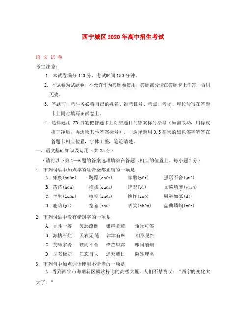 青海省西宁市2020年中考语文真题试题(含答案)