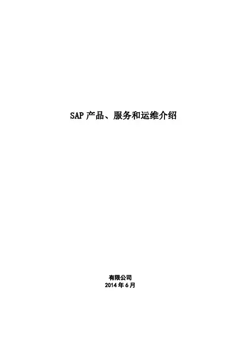 SAP产品 服务和运维介绍