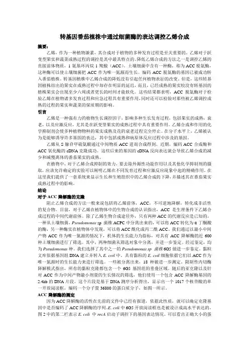 转基因番茄植株中通过细菌酶的表达调控乙烯合成