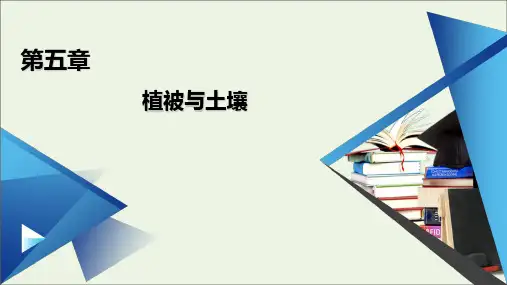 2020高中地理第五章植被与土壤整合提升课件人教版必修一.ppt