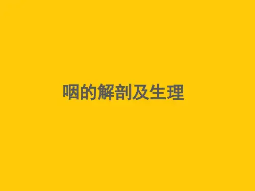 耳鼻喉头颈外科PPT课件 咽的解剖及生理 