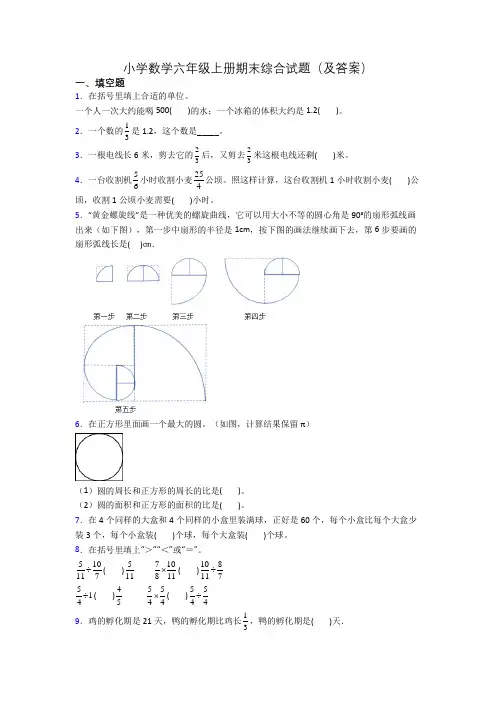 小学数学六年级上册期末综合试题(及答案)