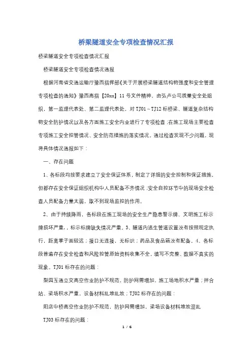 桥梁隧道安全专项检查情况汇报