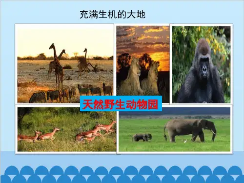 星球版初中地理七年级下册第七章第三节《撒哈拉以南的非洲》课件(共16张PPT)
