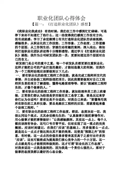 职业化团队心得体会