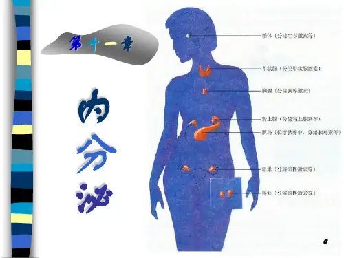 第十一章    内分泌