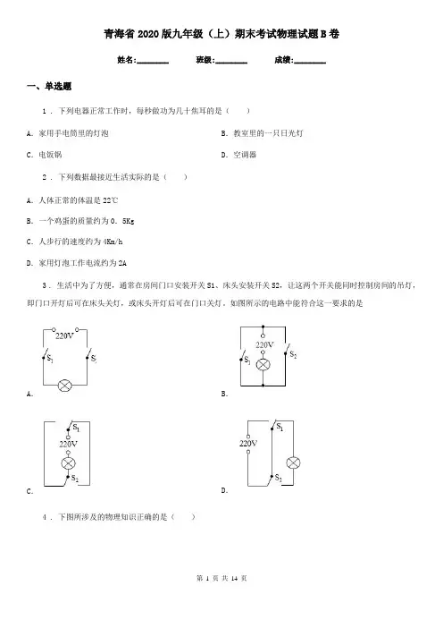 青海省2020版九年级(上)期末考试物理试题B卷