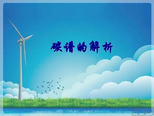 碳谱