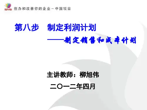 SYB销售和成本计划-柳旭伟