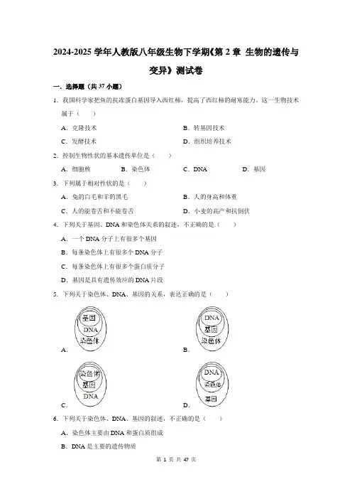 2024-2025学年人教版八年级生物下学期《第2章 生物的遗传与变异》测试卷及答案解析