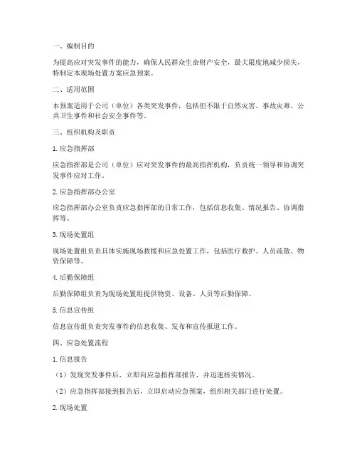 现场处置方案应急预案