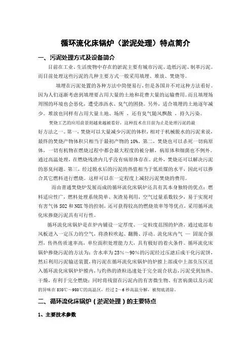 循环流化床锅炉(污泥处理)特点简介