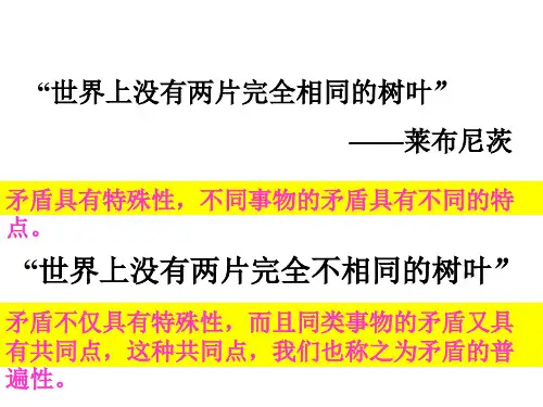 高二政治矛盾普遍性和特殊性的关系(1)