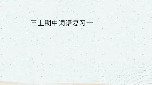 统编版语文三年级上册期中词语复习一课件(共24张PPT)