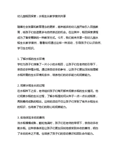 幼儿园稻田探索：水稻生长教学案例分享