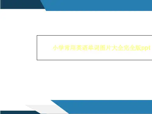 小学常用英语单词图片大全完全版ppt