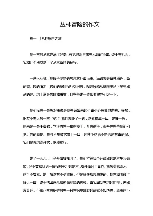 丛林冒险的作文