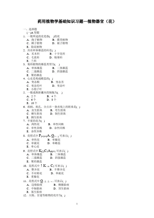 植物器官(花1)