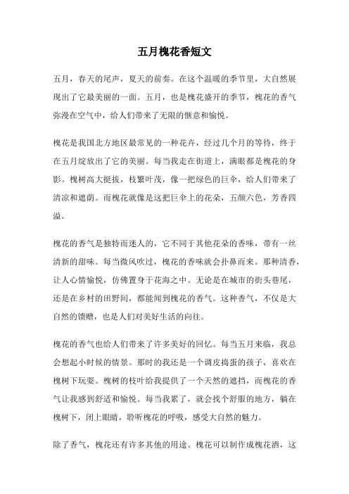 五月槐花香短文