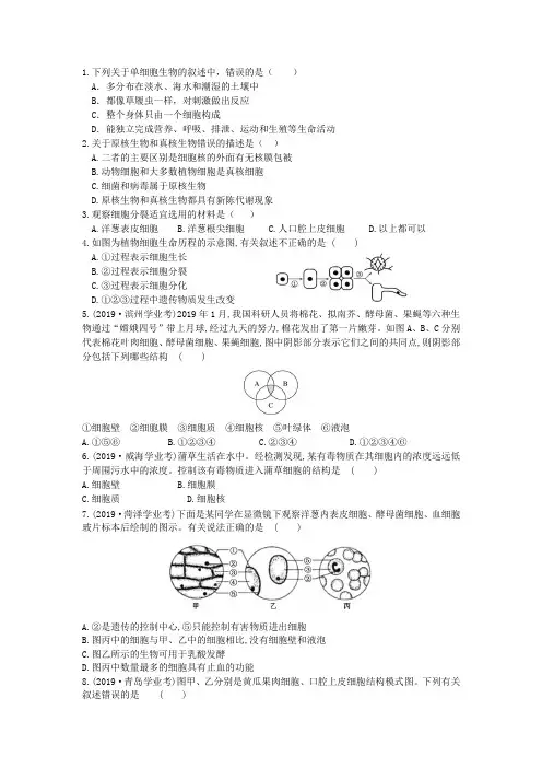 生物七年级上册第一单元第二章观察生物结构练习题
