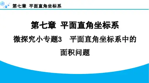 人教版数学七年级下册 微探究小专题3   平面直角坐标系中的面积问题 PPT课件