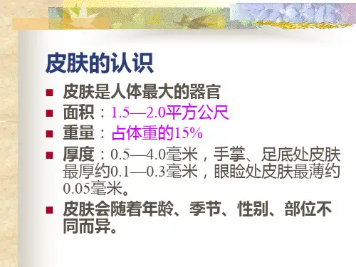 皮肤生理学理论