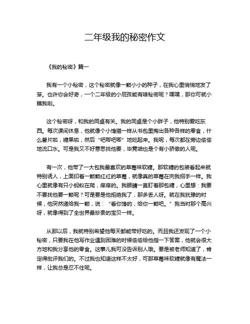 二年级我的秘密作文