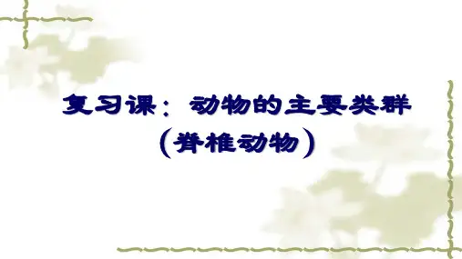 人教版八年级上册生物课件：5.1动物的主要类群(脊椎动物)复习课(共15张PPT)