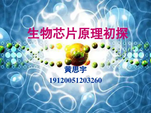 (推荐)《生物芯片简介》PPT课件