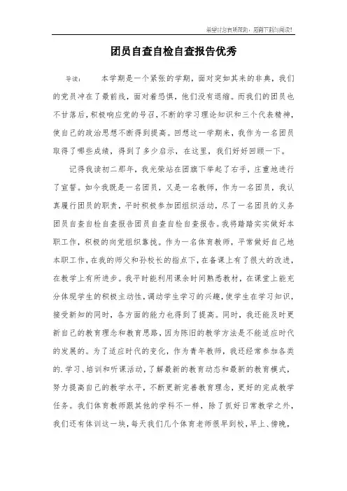 团员自查自检自查报告优秀